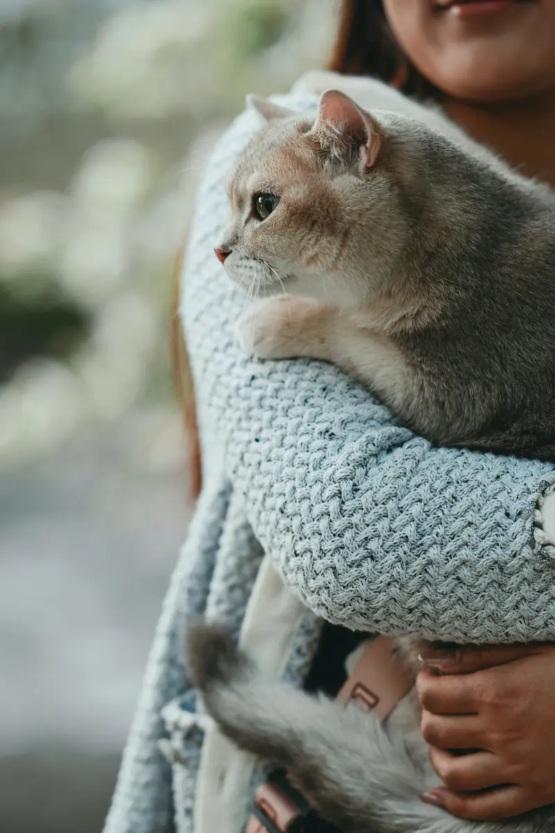 Pet family