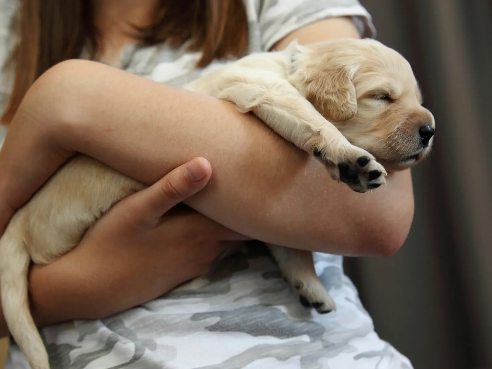 Pet insurance facts