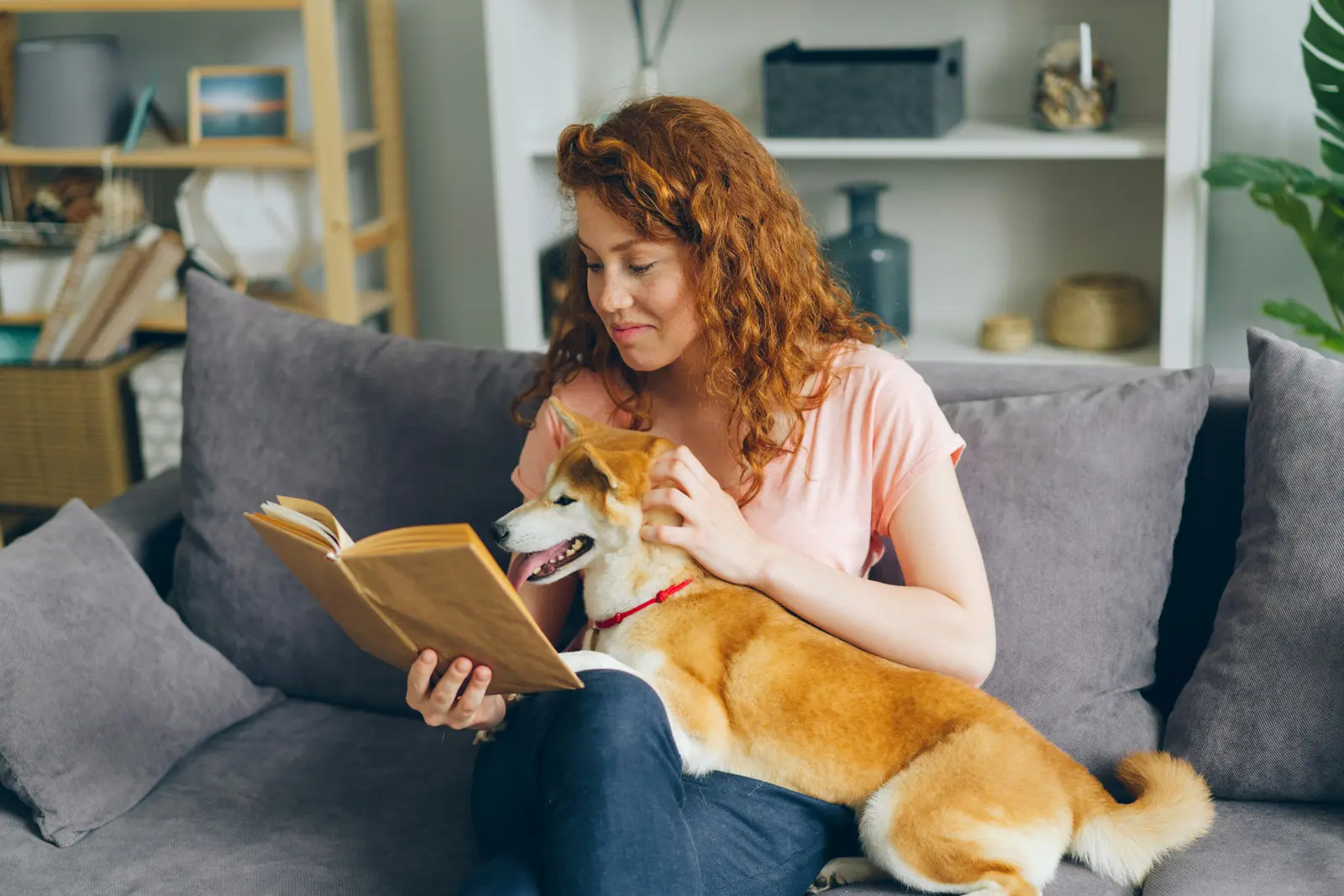 Pet owner using PawClaim tools