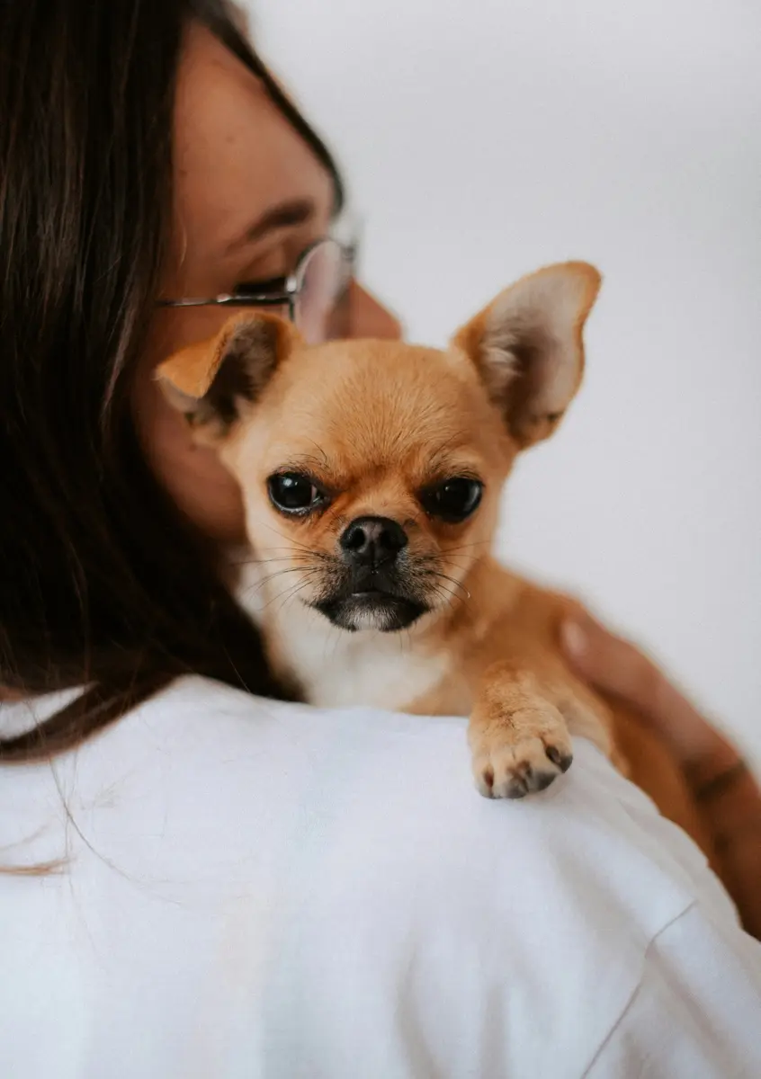 Pet owner at the vet
